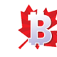 Bitcoin Casino Canada