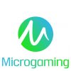 Microgaming Provider Review. Best Microgaming Slots
