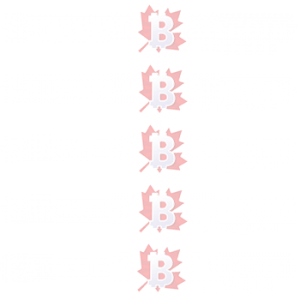 canadian background