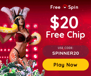 free spin 300x250